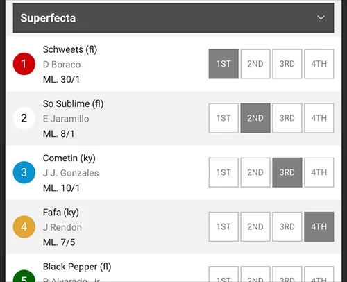 Image - Horses - Superfecta - Selections